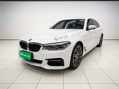 2018 BMW 5 Series Facelift 530Li Leading M Sport Package, фото 1, лот 10443973