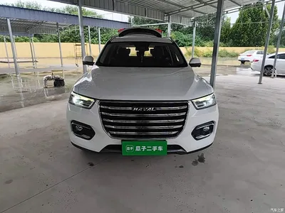 2020 Haval H6 1.5GDIT Automatic Platinum Champion Edition, фото 3, лот 10286142