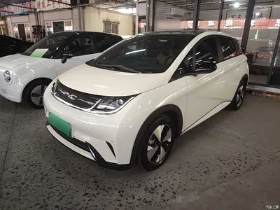 2023 BYD Dolphin 420km Fashion Edition, фото 1, лот 11188212
