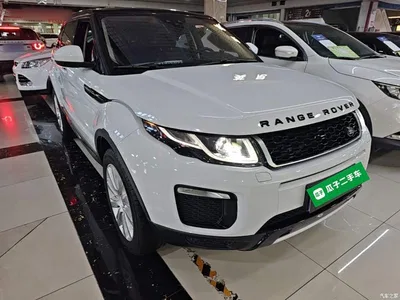 2016 Land Rover Range Rover Evoque 2.0T SE ZhiYao, фото 4, лот 10338369