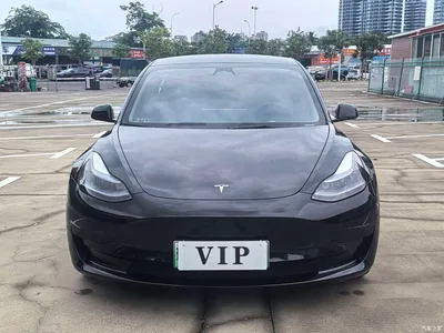 2022 Tesla Model 3 Model Rear-Wheel Drive Version, фото 3, лот 10838560