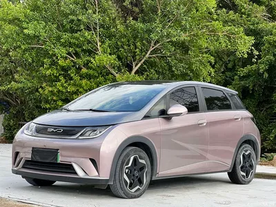 2021 BYD Dolphin Model 405km Fashion Edition, фото 1, лот 10252649