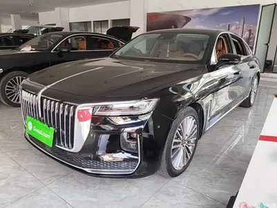 2020 Hongqi H9 2.0T Smart Connection Qi Chang Edition, фото 1, лот 10289299