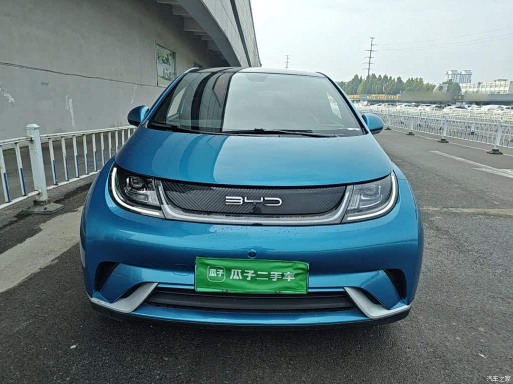 2021 BYD Dolphin Model 405km Fashion Edition, фото 3, лот 11213002