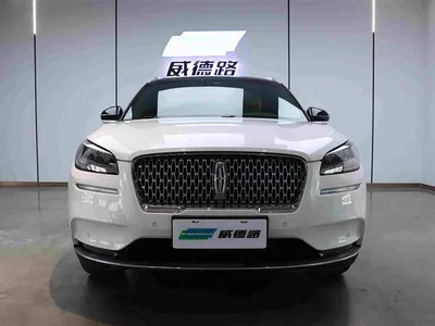 2021 Lincoln Adventurer 2.0T 4WD Elegance Edition, фото 2, лот 10389126