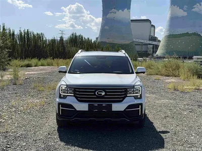 2020 GAC Trumpchi Trumpchi GS8 390T 2WD Luxury Smart Connect Anniversary Edition (7-Seater), фото 2, лот 10417780