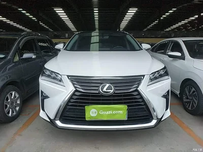 2016 Lexus RX 300 4WD Elegance Edition (China V), фото 3, лот 10319235