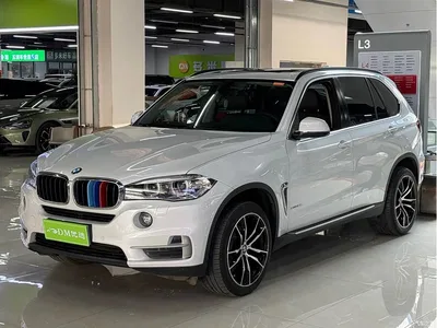 2015 BMW X5 (Import) xDrive28i, фото 3, лот 11135677