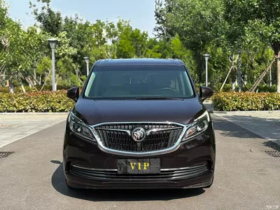 2018 Buick GL8 ES 28T Comfort Type China VI, фото 2, лот 10252943