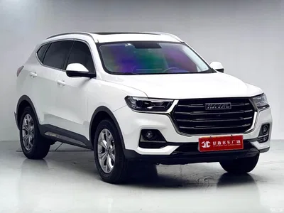 2021 Haval H6 National Trend Edition 1.5GDIT Automatic Champion Edition, фото 3, лот 10299958