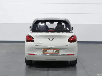 2023 Wuling Motors Wuling Bingo Model 333km Telepathic Connect+ Version, фото 4, лот 11415170