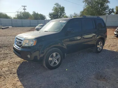 2009 HONDA PILOT EXL, фото 1, лот 10703761