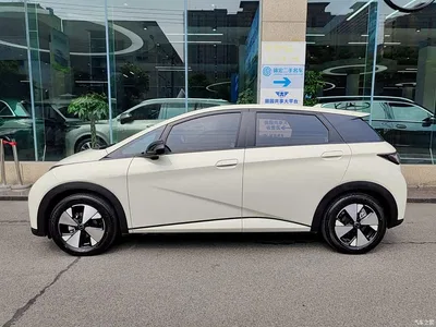 2023 BYD Dolphin 420km Fashion Edition, фото 3, лот 10251135