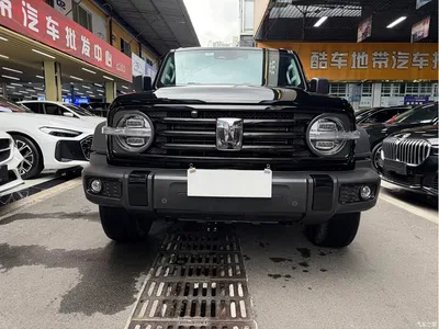 2023 Tank 300 Off-Road Edition 2.0T Conqueror, фото 2, лот 10449780