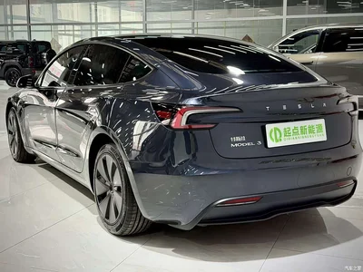 2023 Tesla Model 3 Rear-Wheel Drive, фото 2, лот 11536823