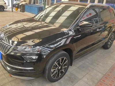 2022 Škoda Karoq TSI280 Premium Edition, фото 1, лот 10999744