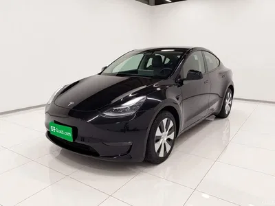 2022 Tesla Model Y Long Range AWD, фото 1, лот 11194080