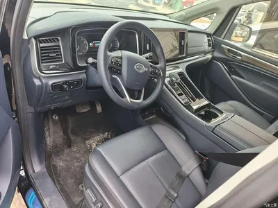 2024 GAC Trumpchi Trumpchi M8 Leadershow Series 390T Luxury Edition, фото 4, лот 10416757