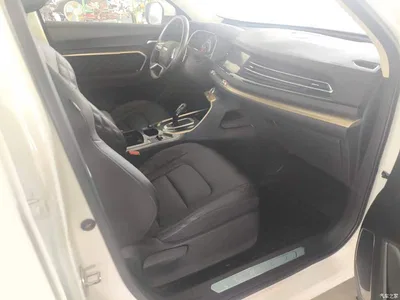 2020 Haval H6 1.5GDIT Automatic Platinum Champion Edition, фото 2, лот 11199087