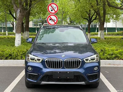2019 BMW X1 sDrive20Li Leading Model, фото 2, лот 10465988