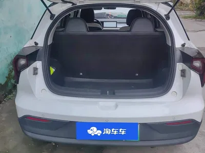 2022 Geely E Firefly 401KM Delicate Tiger 4-seater, фото 4, лот 11210906