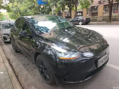 2023 Tesla Model Y Rear-Wheel Drive Edition, фото 4, лот 10369985