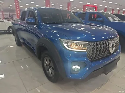 2023 Great Wall Pao 2.0T Commercial Auto Diesel 4WD Elite Long Box GW4D20M, фото 4, лот 10248885