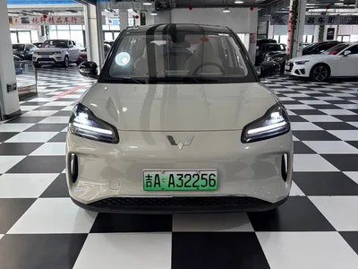 2024 Wuling Motors Wuling Binguo PLUS Model 330km 5-Seater, фото 2, лот 10836458