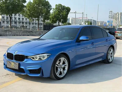 2017 BMW 3 Series 320Li M Sport, фото 1, лот 11195143