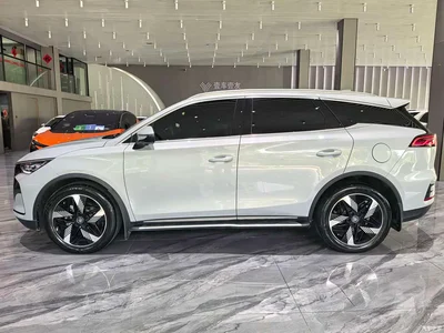 2024 Byd Tang, фото 4, лот 10244864