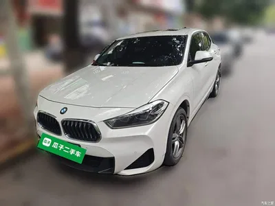 2021 BMW X2 sDrive25i M Sport Package, фото 2, лот 10475486