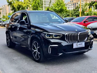 2022 BMW X5 Facelift xDrive 40Li M Sport Package, фото 3, лот 10463072