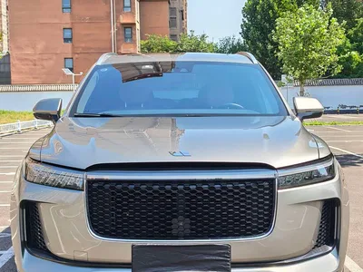 2020 Li Auto Li ONE Extended Range 6-seater, фото 4, лот 10823296