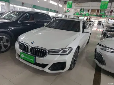 2021 BMW 5 Series Facelift 530Li Leading M Sport Package, фото 1, лот 11189910