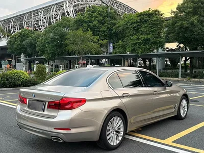2020 BMW 5 Series 530Li Leading Luxury Package, фото 4, лот 11219665