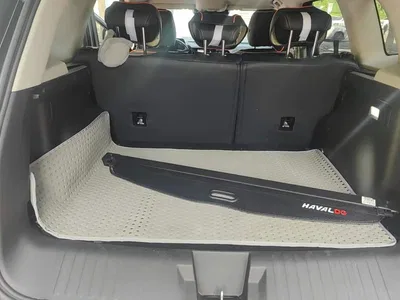 2024 Haval Big Dog 1.5T DCT Border Collie Edition, фото 4, лот 10361710
