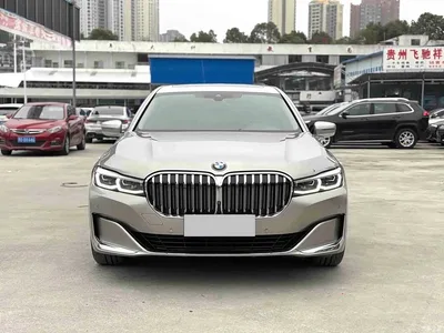 2019 BMW 7 Series 730Li Luxury Package, фото 2, лот 10394901