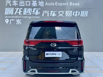 2023 GAC Trumpchi Trumpchi M8 Master Series 390T Prestige Edition, фото 4, лот 10414431