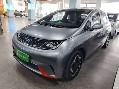 2021 BYD Dolphin Model 405km Fashion Edition, фото 2, лот 10259599