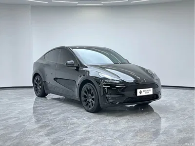 2023 Tesla Model Y Long Range All-Wheel Drive Edition, фото 2, лот 10435253