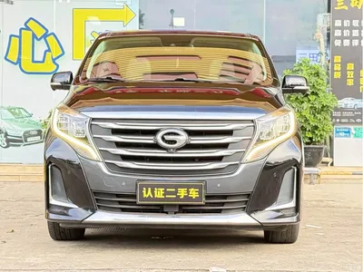 2020 GAC Trumpchi Trumpchi M8 Pilot 390T Flagship Edition, фото 2, лот 10415275