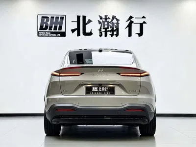 2024 Ledao L60 60kWh Rear-Wheel Drive, фото 4, лот 10826467