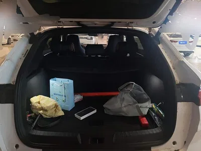 2021 BYD Song PLUS PHEV DM-i 110KM Flagship PLUS, фото 4, лот 11252964