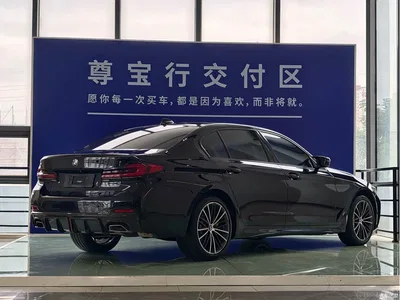 2021 BMW 5 Series 530Li Leading M Sport Package, фото 3, лот 11547661
