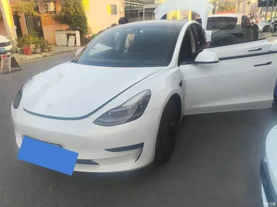 2021 Tesla Model 3 Facelift Standard Range RWD Upgrade 3D1, фото 1, лот 10401993