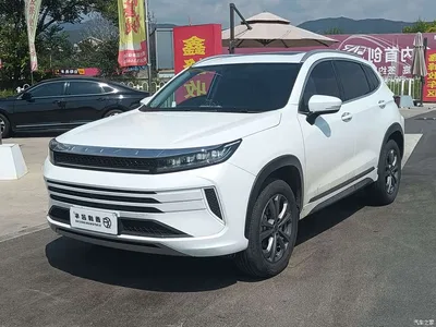 2022 Exeed Windchaser Riding the Wind and Waves Edition 1.5T CVT Lucky Peanut Version, фото 1, лот 11152105