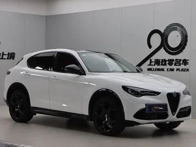 2023 Alfa Romeo Stelvio 2.0T 280HP Veloce Track Edition, фото 1, лот 10675953