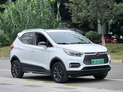 2019 BYD Yuan New Energy EV535 Smart Connected Innovation Leader Type, фото 3, лот 11181130