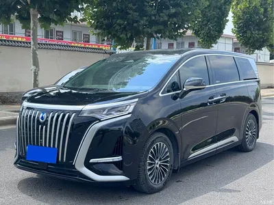 2022 Denza D9 EV 600 4WD Flagship, фото 1, лот 10345659
