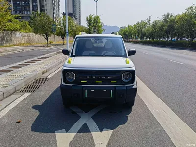 2025 Geely Galaxy Panda Model Year 210km Panda Knight, фото 2, лот 10889016
